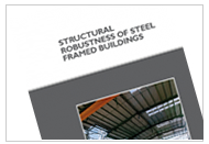 Structural robustness of steel framed buildings (P391)