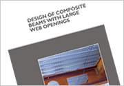 Design of composite beams with large web openings (P355)